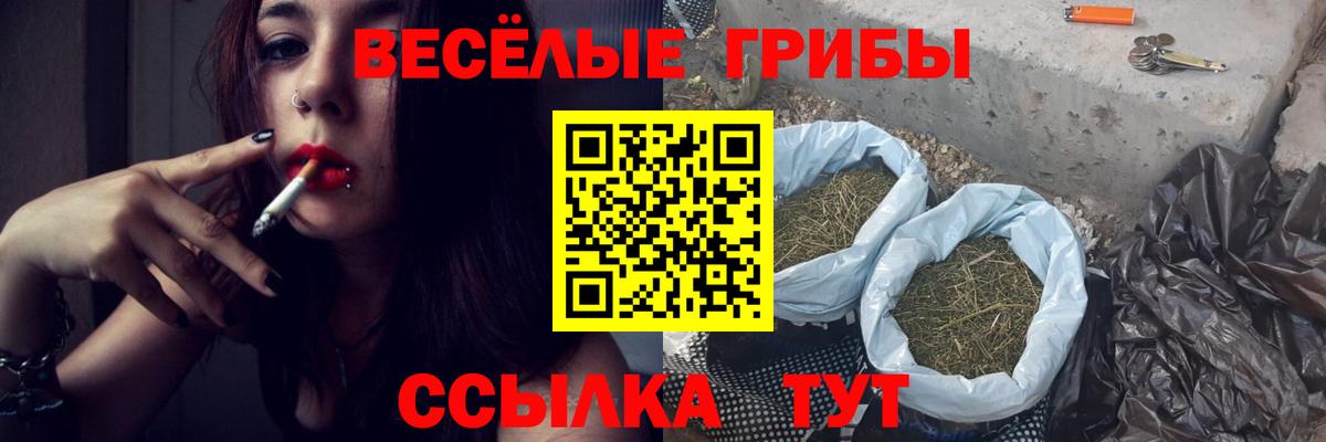 Псилоцибиновые грибы прущие грибы  Вход с VPN  Нижний Тагил 